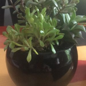 Meet your Posher, Leigh